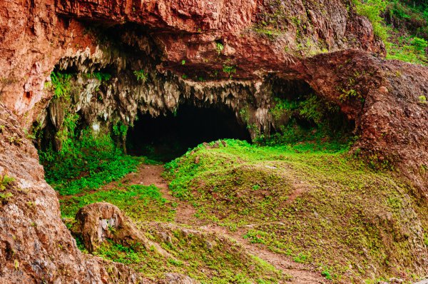 世界上最厉害的病毒