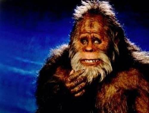 冈仁波齐1999神秘事件是真的吗