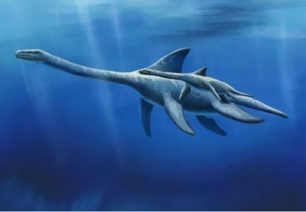 恐龙是怎么灭绝的真正原因