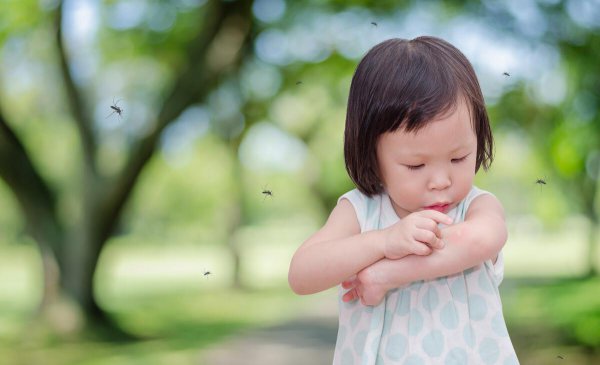 蚊子喜欢什么血型