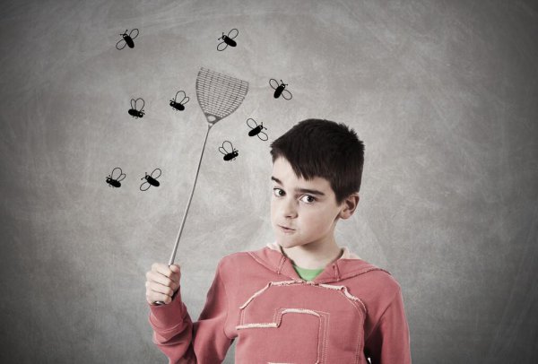 蚊子喜欢什么血型