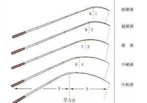 鱼竿19调和28调是什么意思哪个好