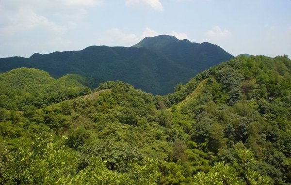 空亡是什么意思怎么理解