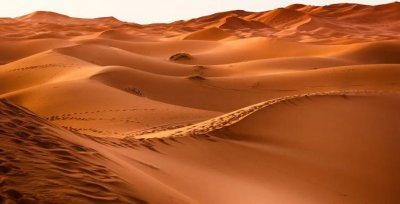 世界上最大的沙漠 世界上第一大的沙漠在哪个国家