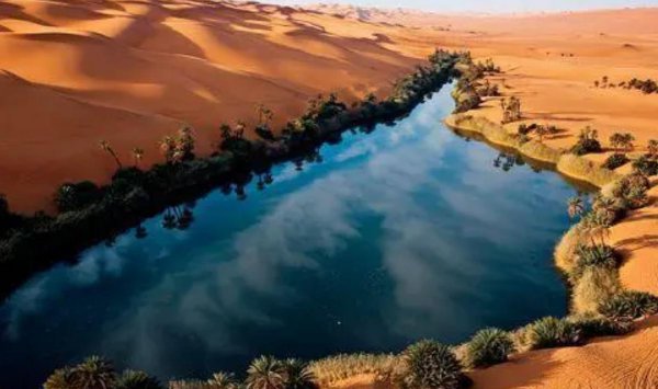 世界上最大的沙漠