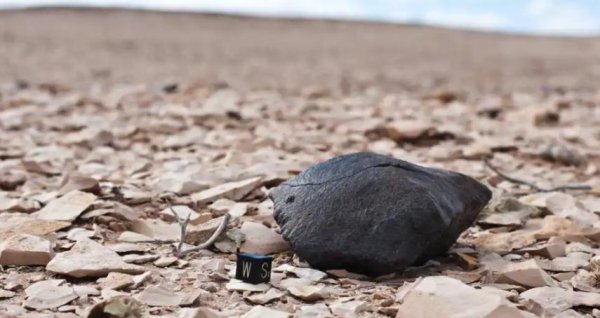 世界上最大的沙漠