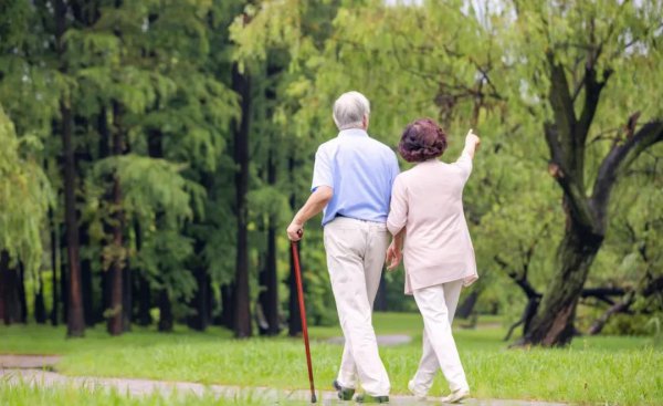 子欲养而亲不待的意思