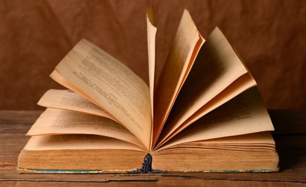 详细解释姑妄言之姑妄听之什么意思