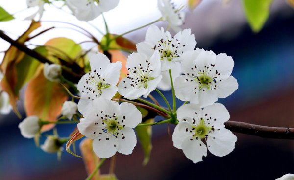 被称为诗杰的唐代诗人是谁呢