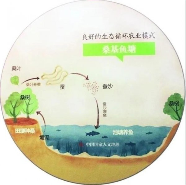 湖州市的湖指的是哪个湖