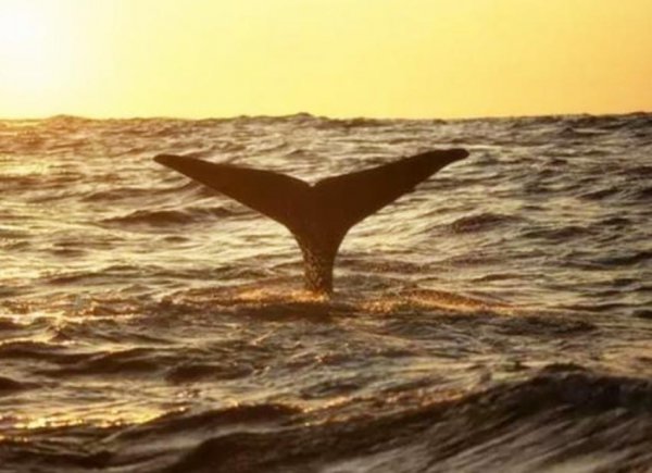 庄子是什么时期的人