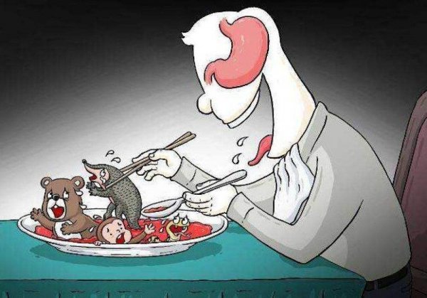 鸠占鹊巢的鸠指的是什么鸟