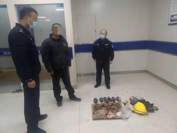 鸠占鹊巢的鸠指的是什么鸟