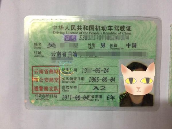 a2驾驶证能开什么车