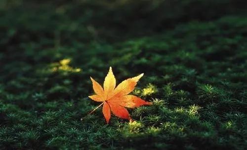 不求闻达于诸侯