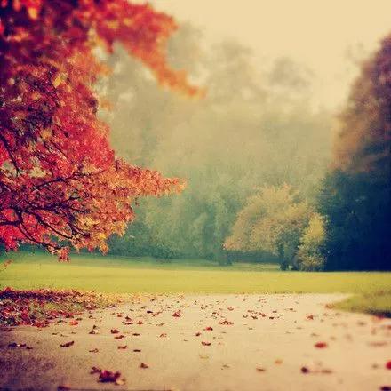 不求闻达于诸侯