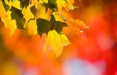 不求闻达于诸侯