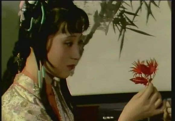 红楼梦送宫花黛玉分析