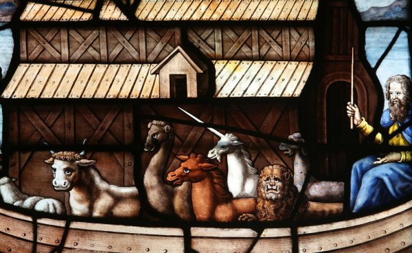 诺亚方舟是什么故事