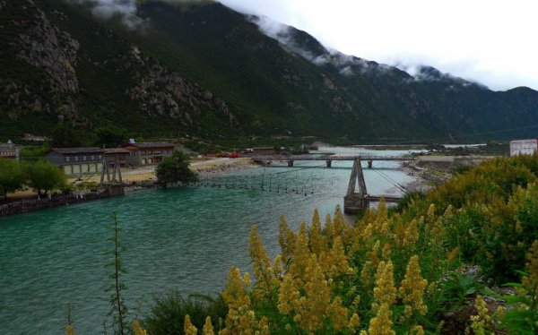 愣头青是什么意思