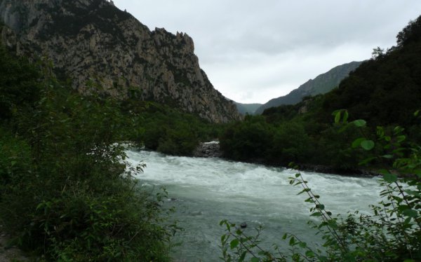 愣头青是什么意思