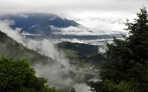 愣头青是什么意思