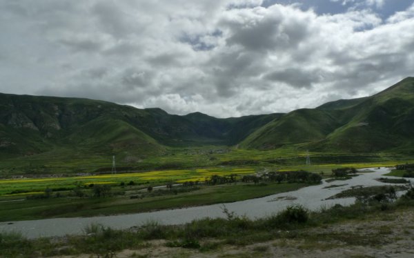 愣头青是什么意思