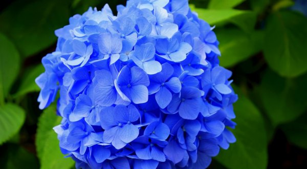 双鱼男克制感情的表现