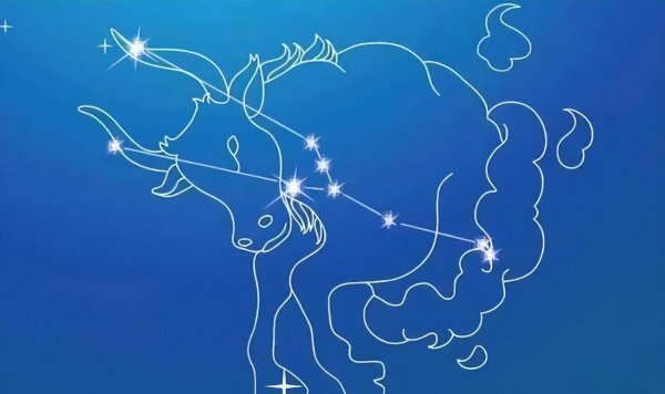 金牛男被哪种女生吃定