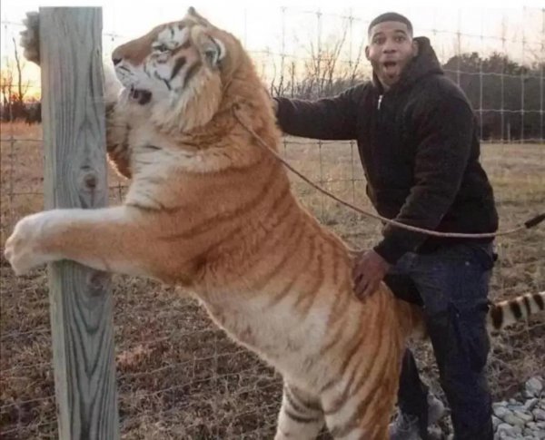 水浒传关于武松的故事情节