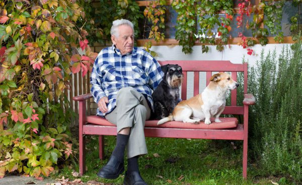 狗狗死前会向主人道别吗