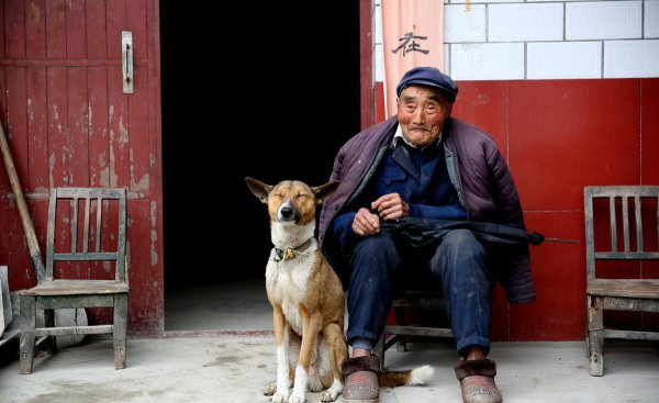 狗狗死前会向主人道别吗