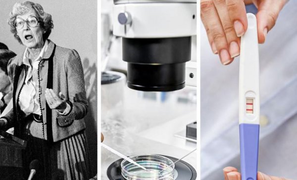 伟大的女性人物的事迹