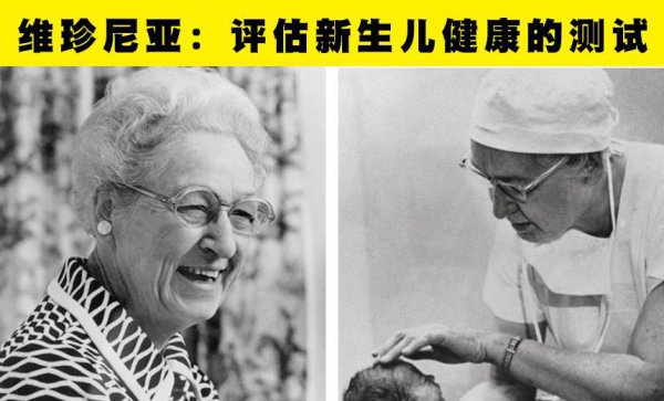 伟大的女性人物的事迹