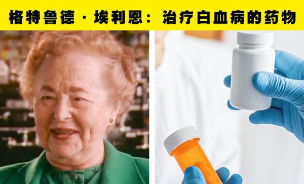 伟大的女性人物的事迹