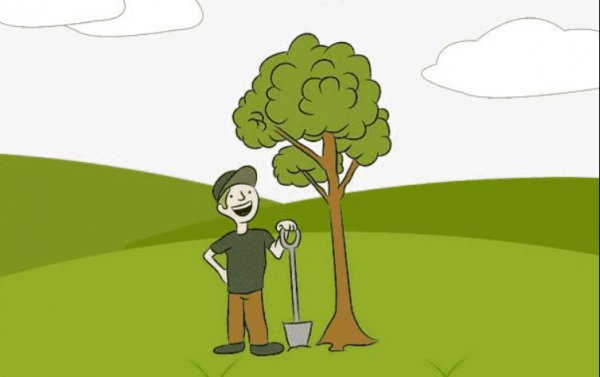 清明节有哪些节日风俗