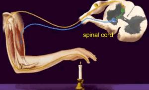 咬舌自尽真的能死吗