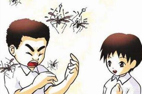 老被蚊子咬跟血型有关吗