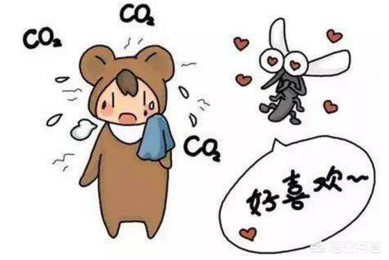 老被蚊子咬跟血型有关吗