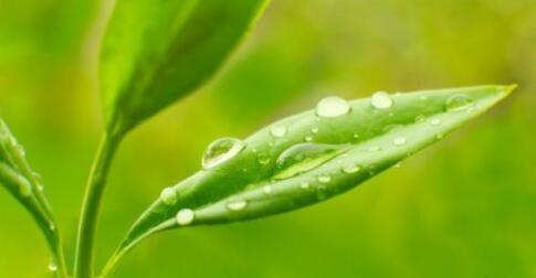 地球上的水会增加或减少吗