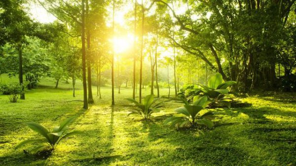 孔子最喜欢的弟子是谁