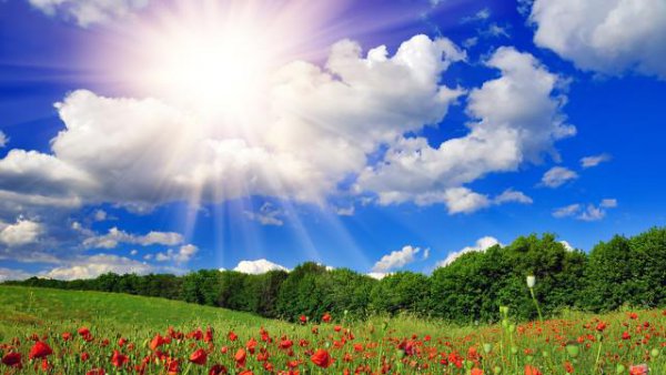 孔子最喜欢的弟子是谁