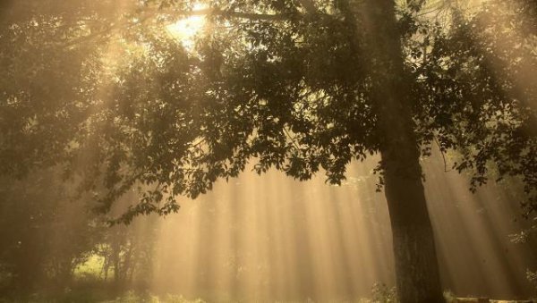 孔子最喜欢的弟子是谁