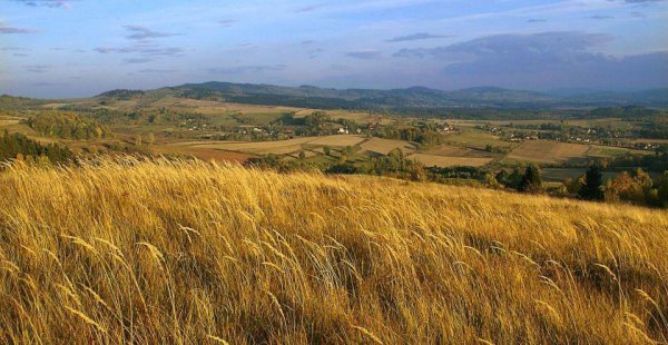 3代表什么吉利的意思