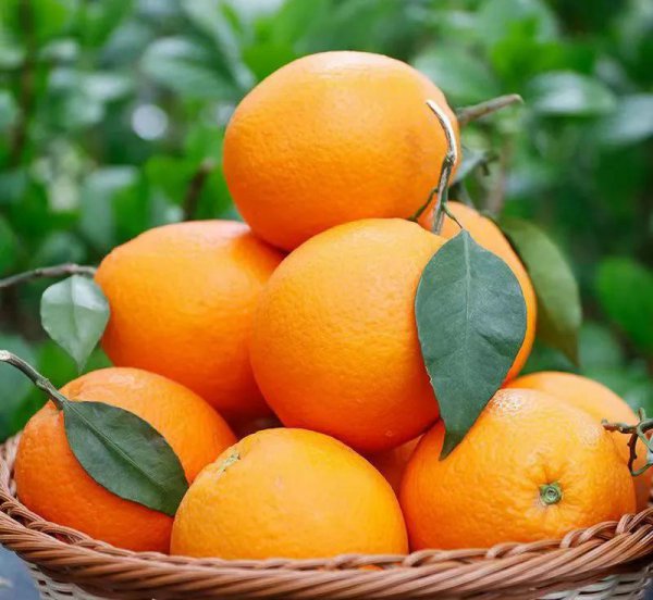 六种寓意好的水果