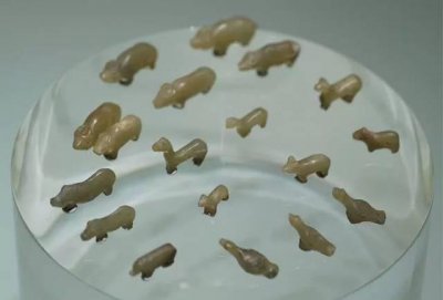 曾侯乙嘴巴里含有什么小动物 古代葬俗中的饭含之礼