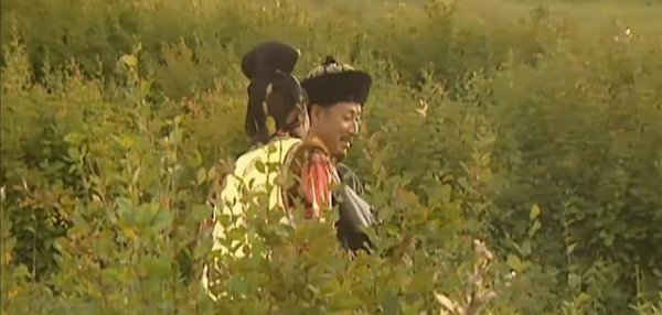 历史上的宝日龙梅最后结局