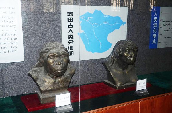 陕西蓝田人距今约多少万年