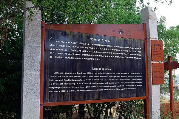 陕西蓝田人距今约多少万年