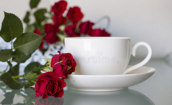 写给女情人最感人的情书范文